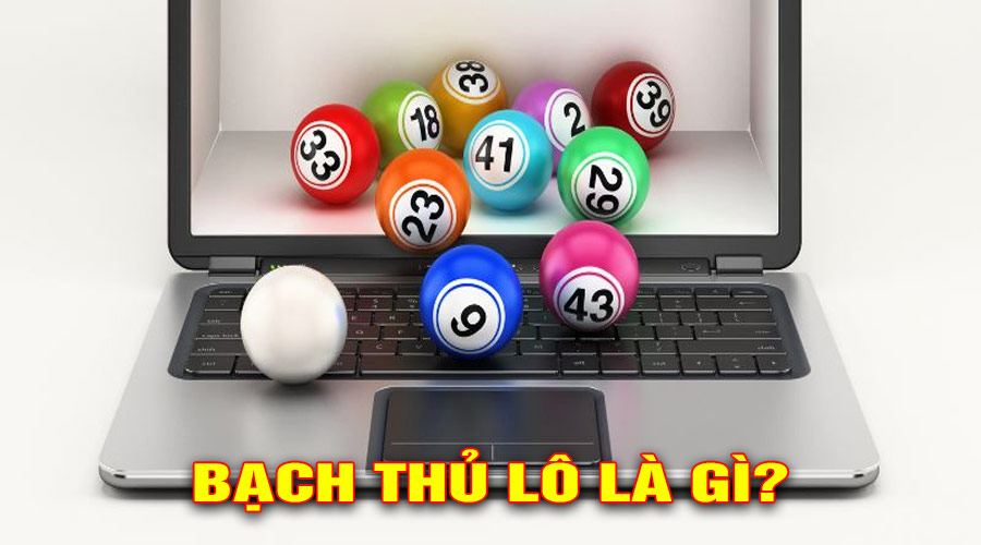 Bạch thủ lô là gì?